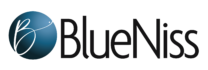 Blueniss Consultoria em Estratégia Logo